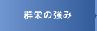 群栄の強み